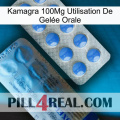 Kamagra 100Mg Utilisation De Gelée Orale 40